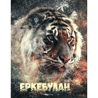 Ава с именем Еркебулан с тигром