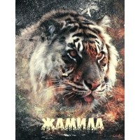 Ава с именем Жамила с тигром