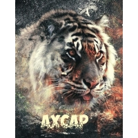 Ава с именем Ахсар с тигром