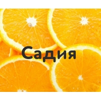 Садия на картинке с апельсинами