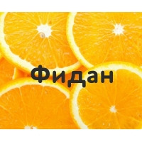 Фидан на картинке с апельсинами