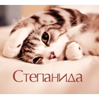 Степанида на открытке с котенком