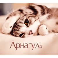 Арнагуль на открытке с котенком