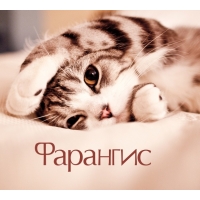 Фарангис на открытке с котенком