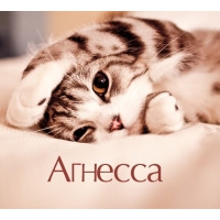 Агнесса на открытке с котенком