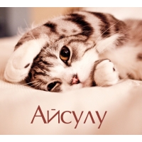 Айсулу на открытке с котенком