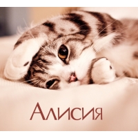 Алисия на открытке с котенком