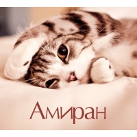 Амиран на открытке с котенком