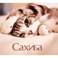 Сахиба на открытке с котенком
