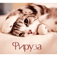 Фируза на открытке с котенком