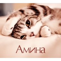 Амина на открытке с котенком