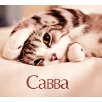Савва на открытке с котенком