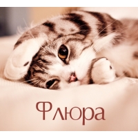 Флюра на открытке с котенком