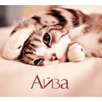 Айза на открытке с котенком